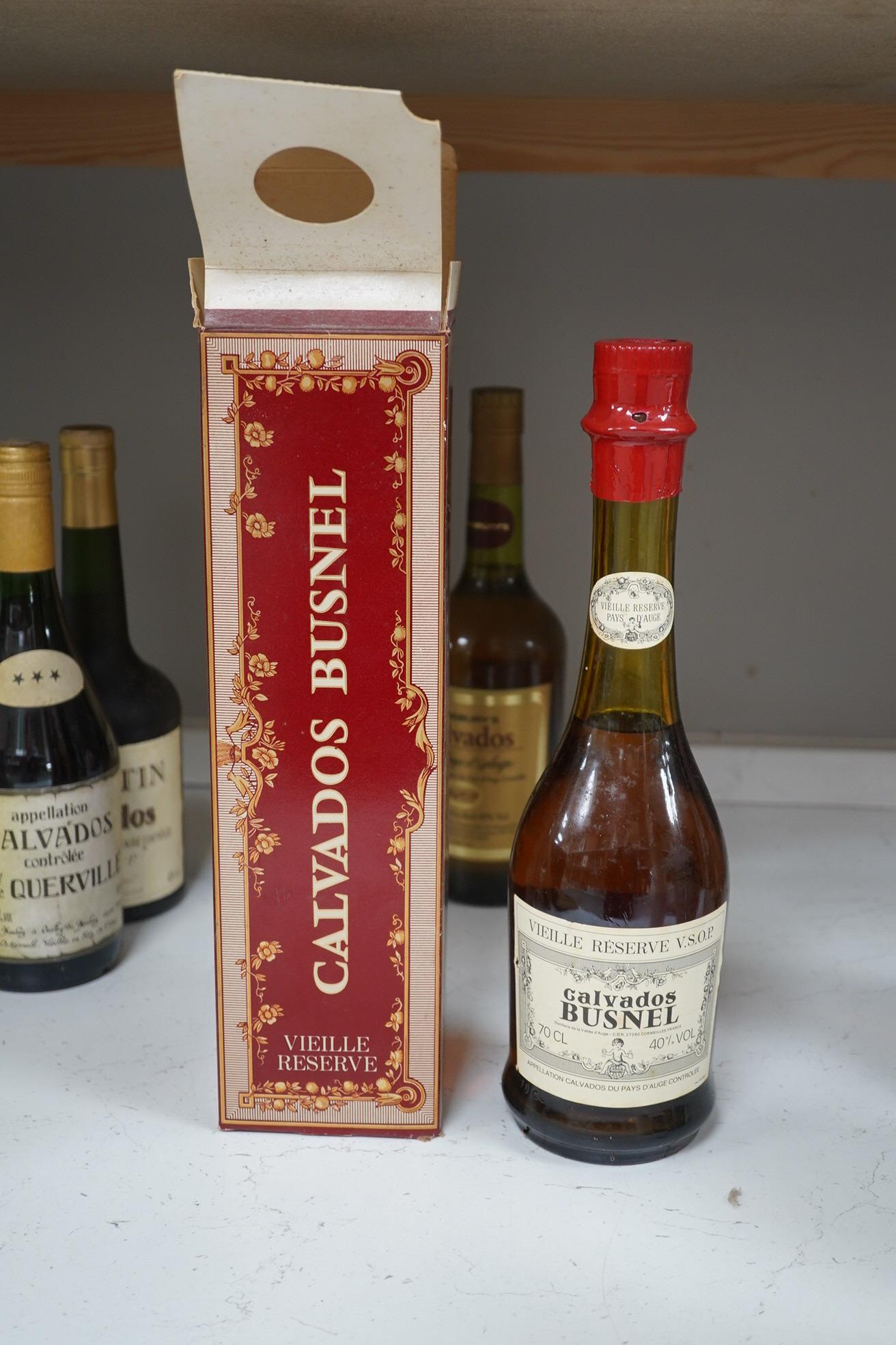 Five various bottles of Calvados, including a boxed Paul Magloire and boxed Busnel. Condition - unknown storage